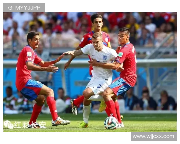 杭州羽毛球队在世界杯中的团队协作表现深度点评与分析