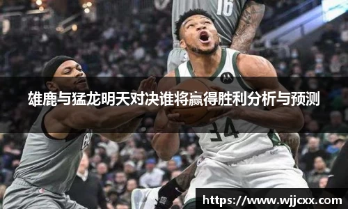 yy易游